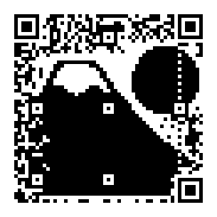 fig_rst_qr_fuji_02