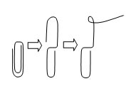 clip
